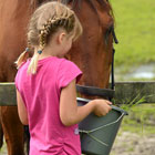 Visit Our Equine Products Page